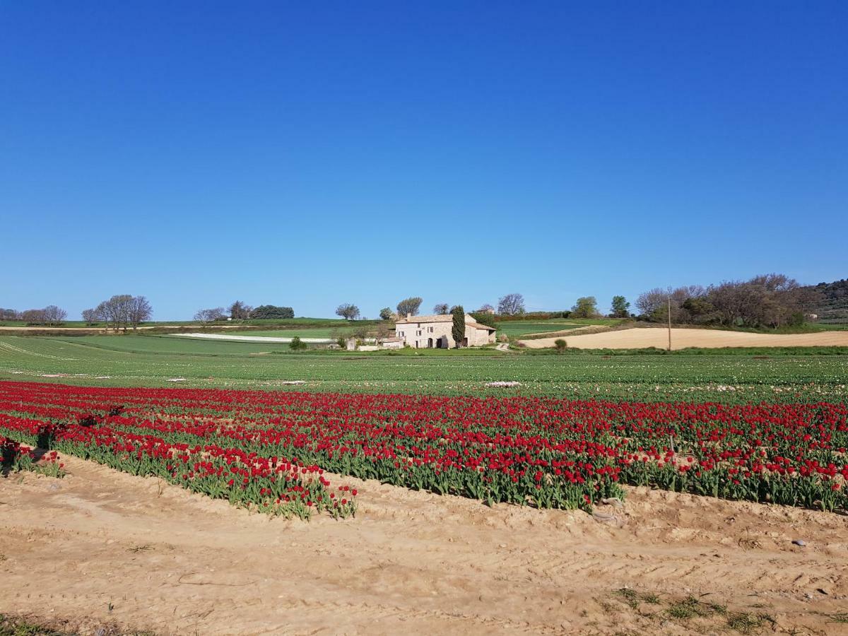 Grange Voutee Avec Jardin Villa Mane  Eksteriør bilde